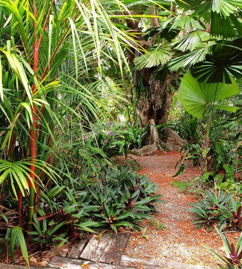 Rainforest Castaways Resort And Spa Мишън Бийч Екстериор снимка